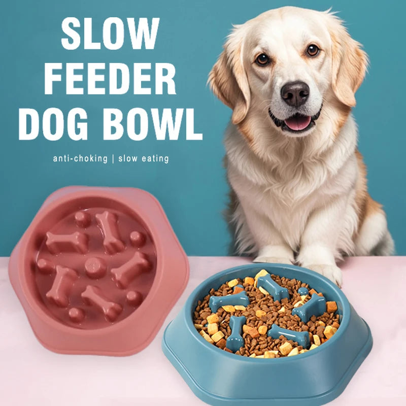 Slow Feeder Dog Bowl | Anti Choking Design | Non Slip Base | Easy Clean PP Food Dish | Woofing Deals
