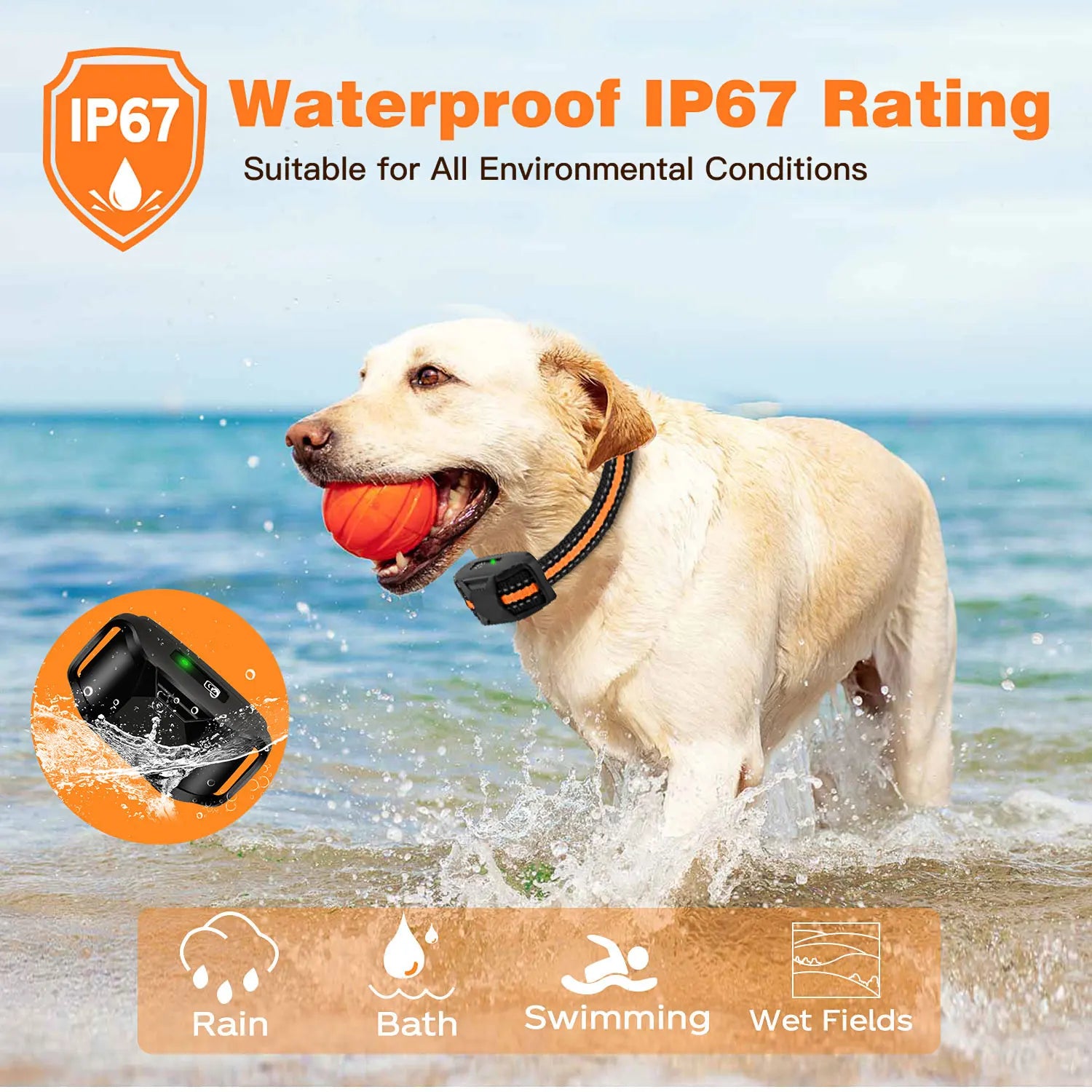 Remote Control Dog Training Collar | Waterproof Pet Behaviour Trainer | Adjustable Fit | Woofing Deals