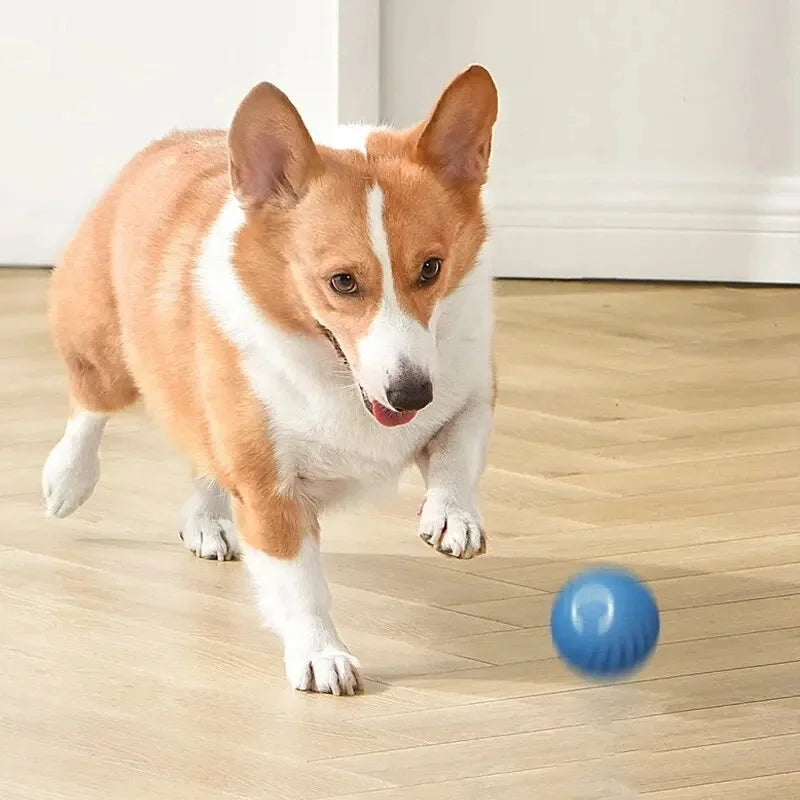 Interactive Smart Dog Ball | Automatic Rechargeable Toy | Interactive Training & Play Toy | Woofing Deals