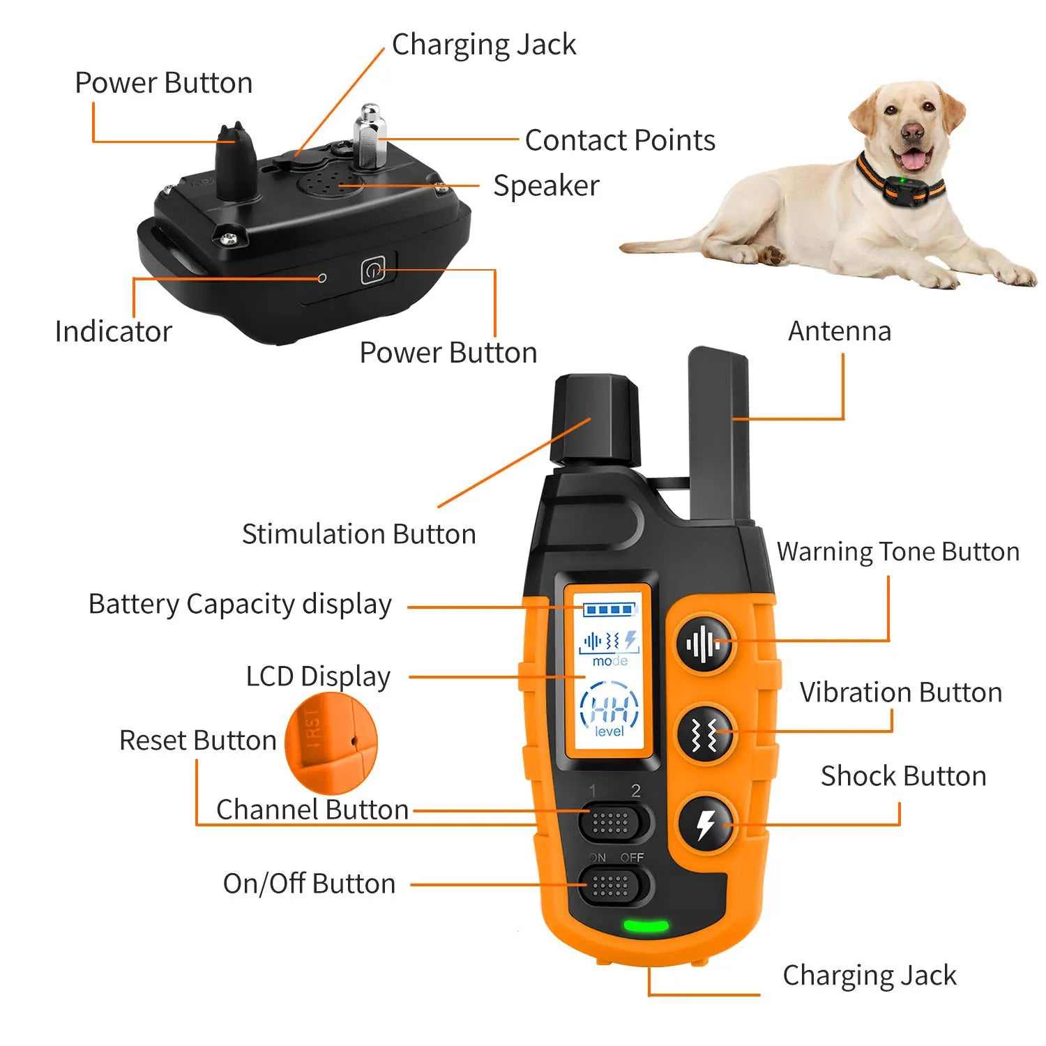 Remote Control Dog Training Collar | Waterproof Pet Behaviour Trainer | Adjustable Fit | Woofing Deals