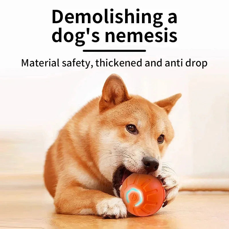 Interactive Smart Dog Ball | Automatic Rechargeable Toy | Interactive Training & Play Toy | Woofing Deals