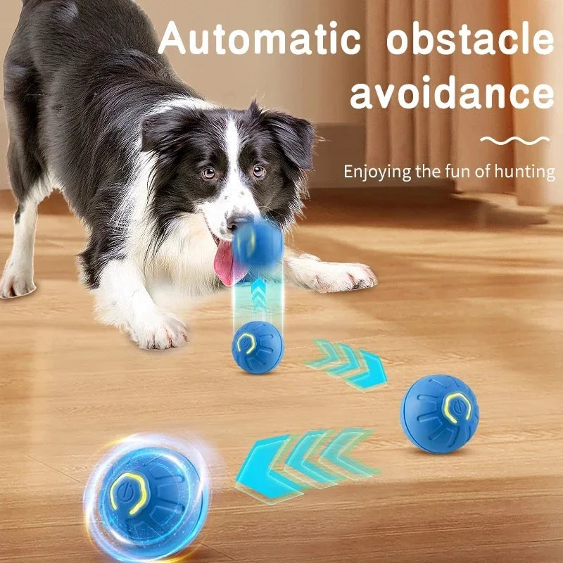 Interactive Smart Dog Ball | Automatic Rechargeable Toy | Interactive Training & Play Toy | Woofing Deals