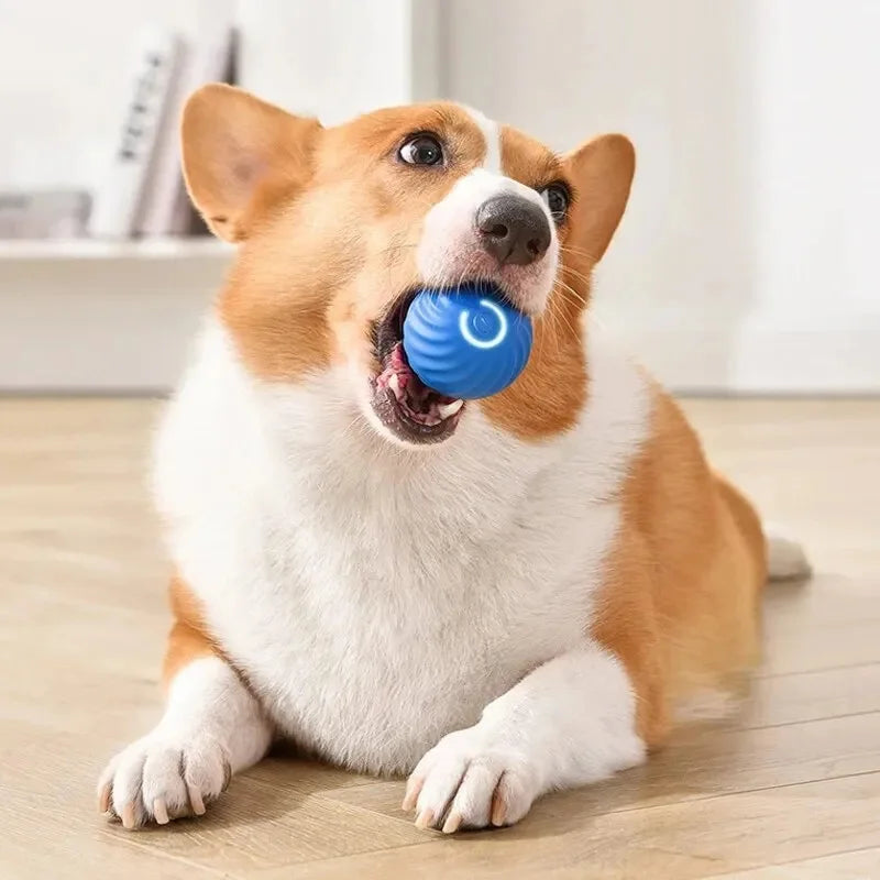 Interactive Smart Dog Ball | Automatic Rechargeable Toy | Interactive Training & Play Toy | Woofing Deals