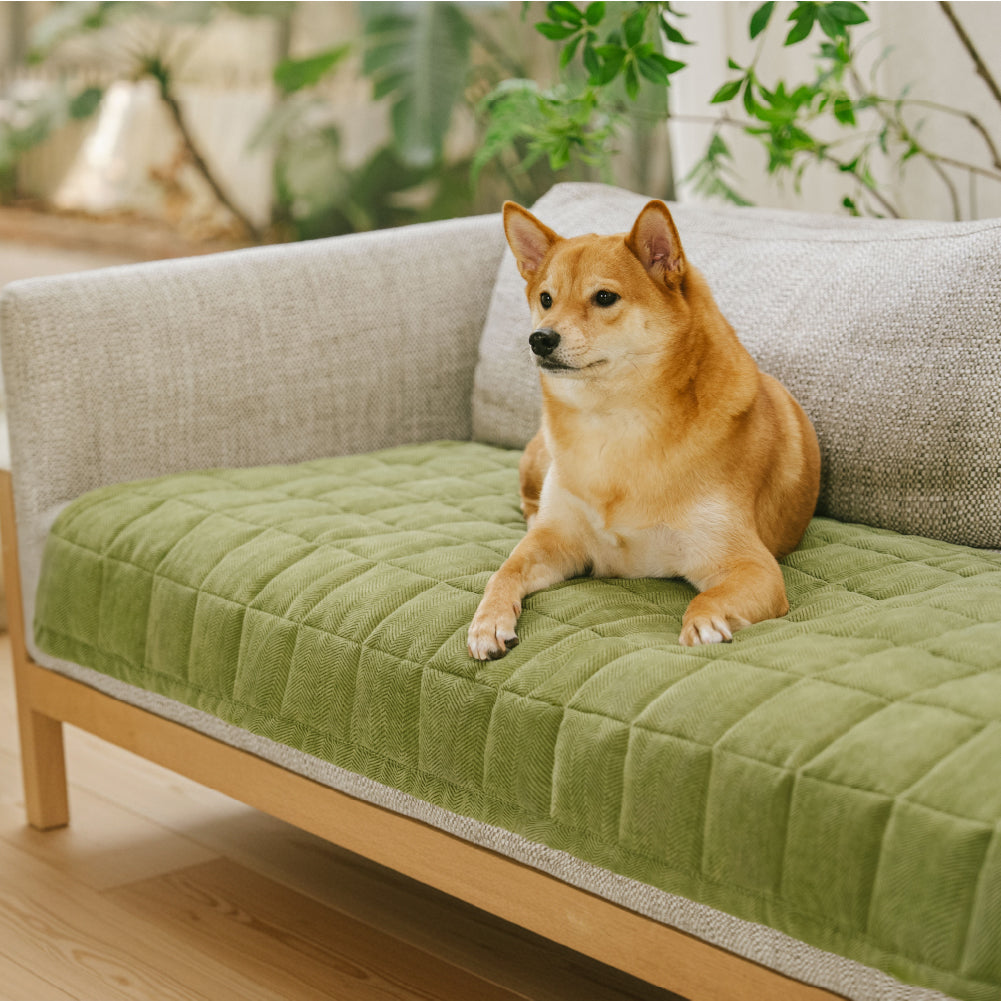 Breathable Herringbone Chenille Sofa Cover | Scratch-Proof | Stain-Resistant | Non-Slip | Woofing Deals