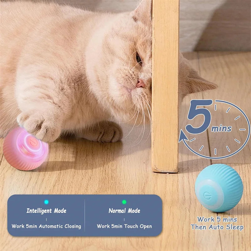 Interactive Smart Dog Ball | Automatic Rechargeable Toy | Interactive Training & Play Toy | Woofing Deals