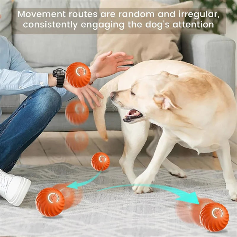 Interactive Smart Dog Ball | Automatic Rechargeable Toy | Interactive Training & Play Toy | Woofing Deals
