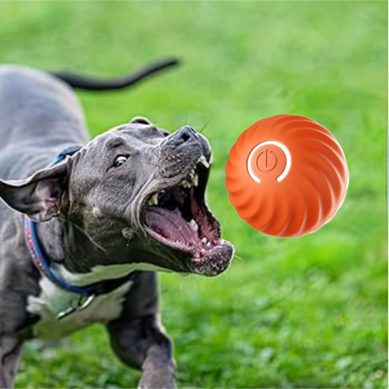 Interactive Smart Dog Ball | Automatic Rechargeable Toy | Interactive Training & Play Toy | Woofing Deals