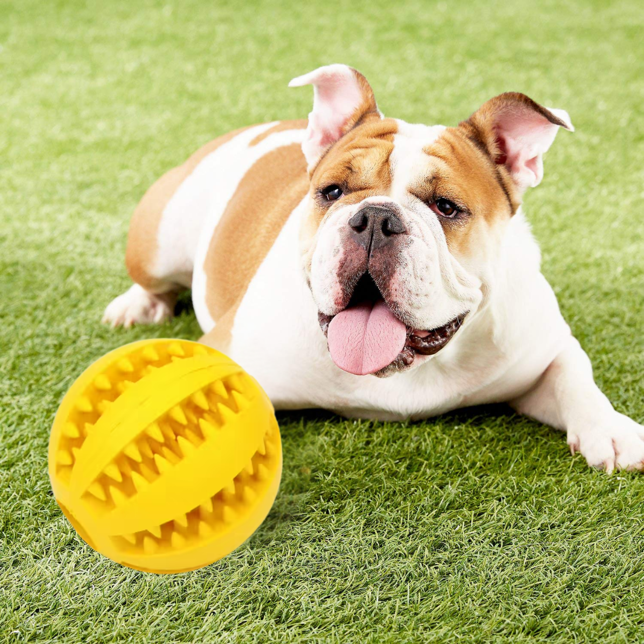 Rubber Dog Chew Ball | Dental Cleaning Treat Toy | Interactive Toy for Aggressive Chewers | Woofing Deals