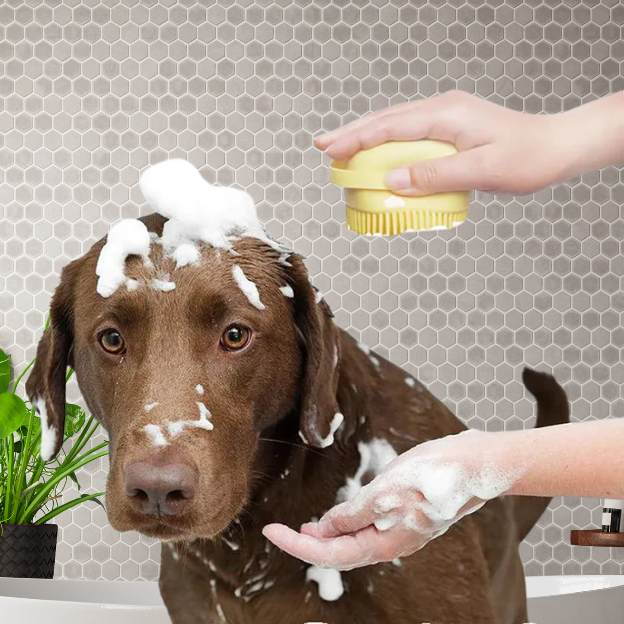 Silicone Dog Bath Massage Gloves | Pet Grooming Brush with Shampoo Dispenser | Woofing Deals