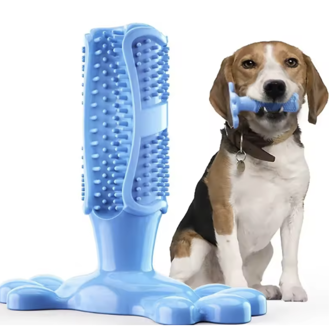 Cactus Dog Chew Toy | Rubber Treat Dispenser | Dental Toothbrush Toy for All Dogs | Woofing Deals