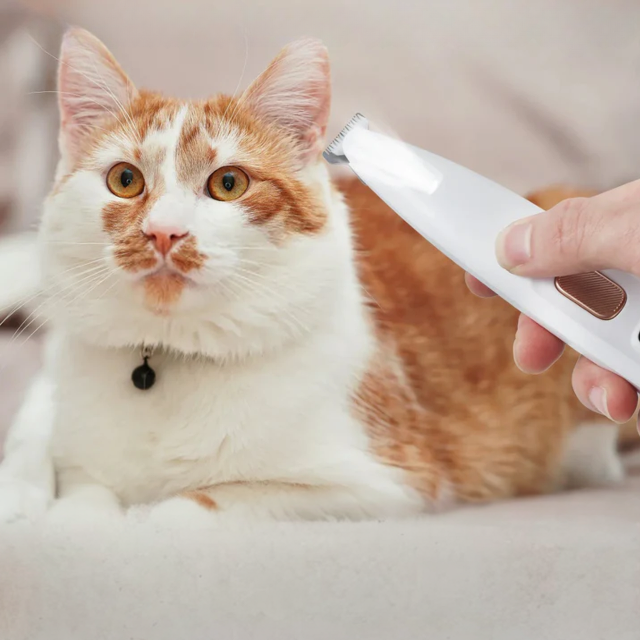 Waterproof Pet Paw Trimmer | LED Display Pet Hair Clippers | 1.8 cm Precision Grooming Blade | Woofing Deals