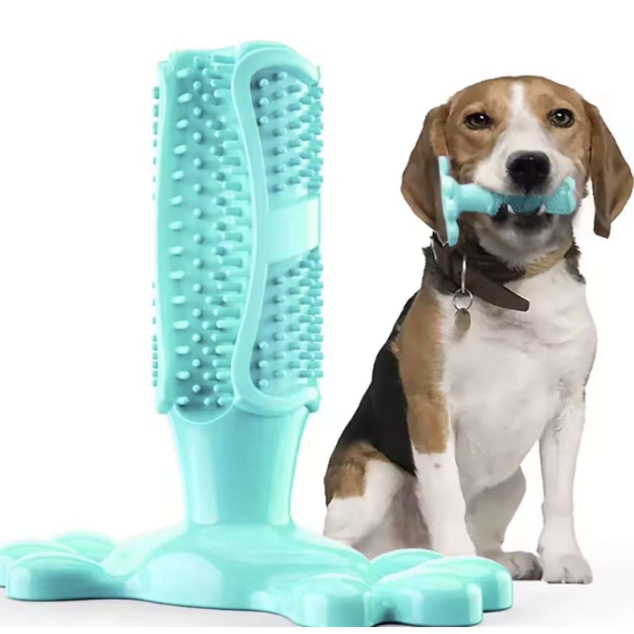 Cactus Dog Chew Toy | Rubber Treat Dispenser | Dental Toothbrush Toy for All Dogs | Woofing Deals