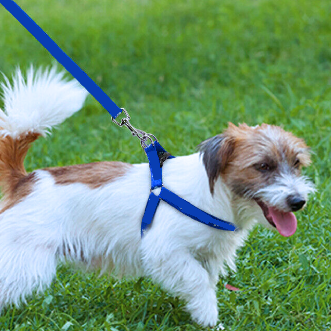 Reflective Dog Lead | Heavy Duty Nylon | Padded Handle | Double Handle Control for Strong Dogs | Woofing Deals