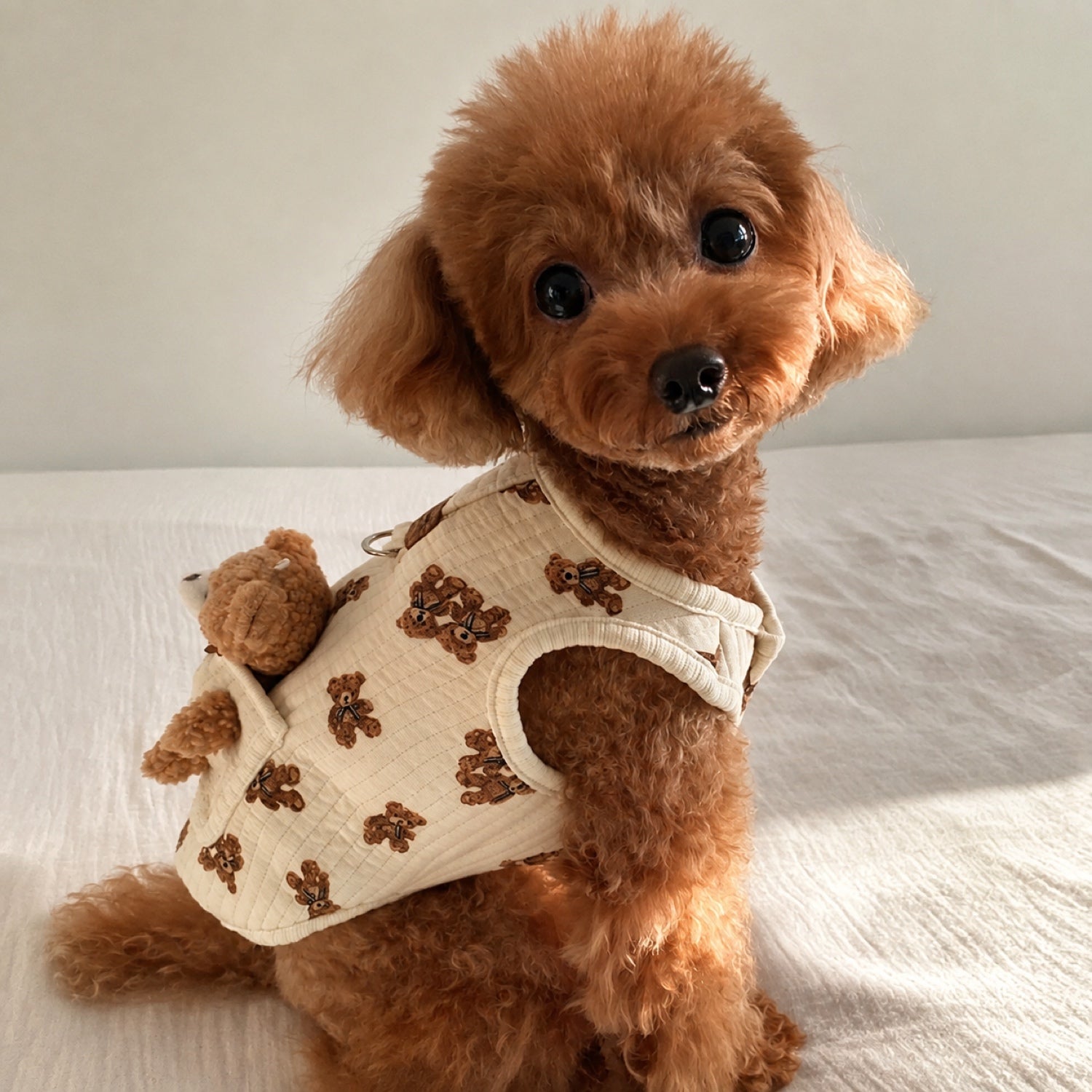 Teddy Bear Pocket Dog Vest | Cosy Quilted Autumn & Winter Pet Jacket