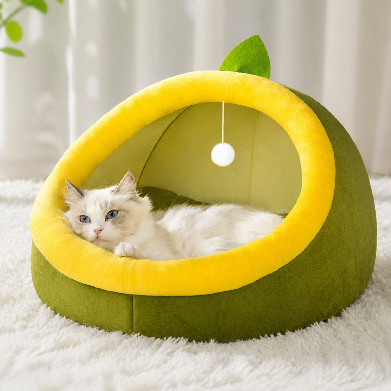 Avocado Pet House | All-Season Plush Bed | Anti-Slip for Small Dogs & Cats
