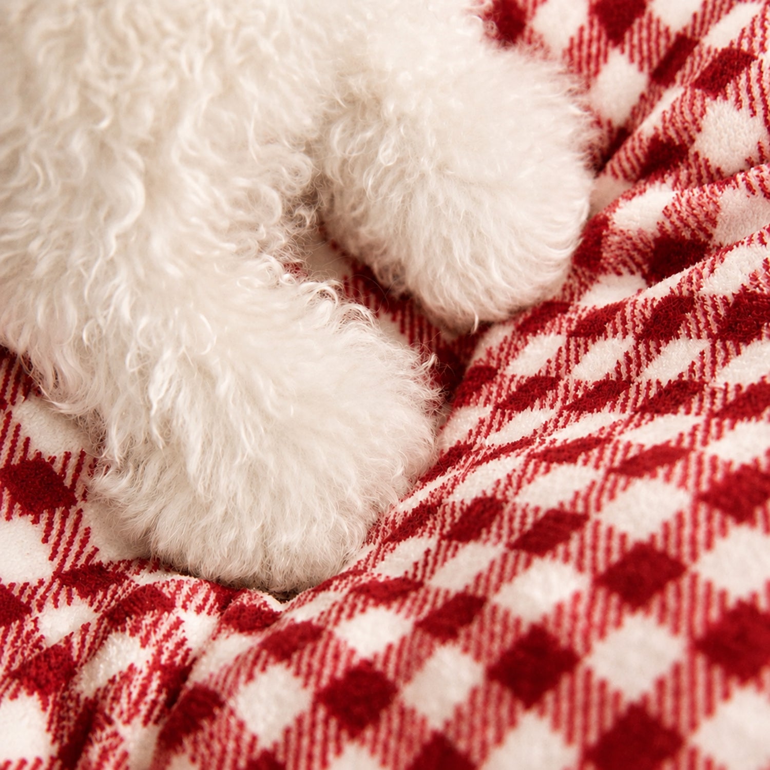 Puppy Pod Pet House | Cosy Bed with Washable Removable Cushion