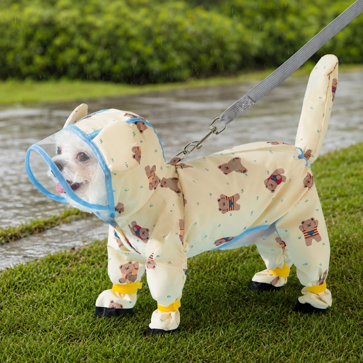 Rainy Bear Full-Body Dog Raincoat | Waterproof | Clear Hood & Lead Clip