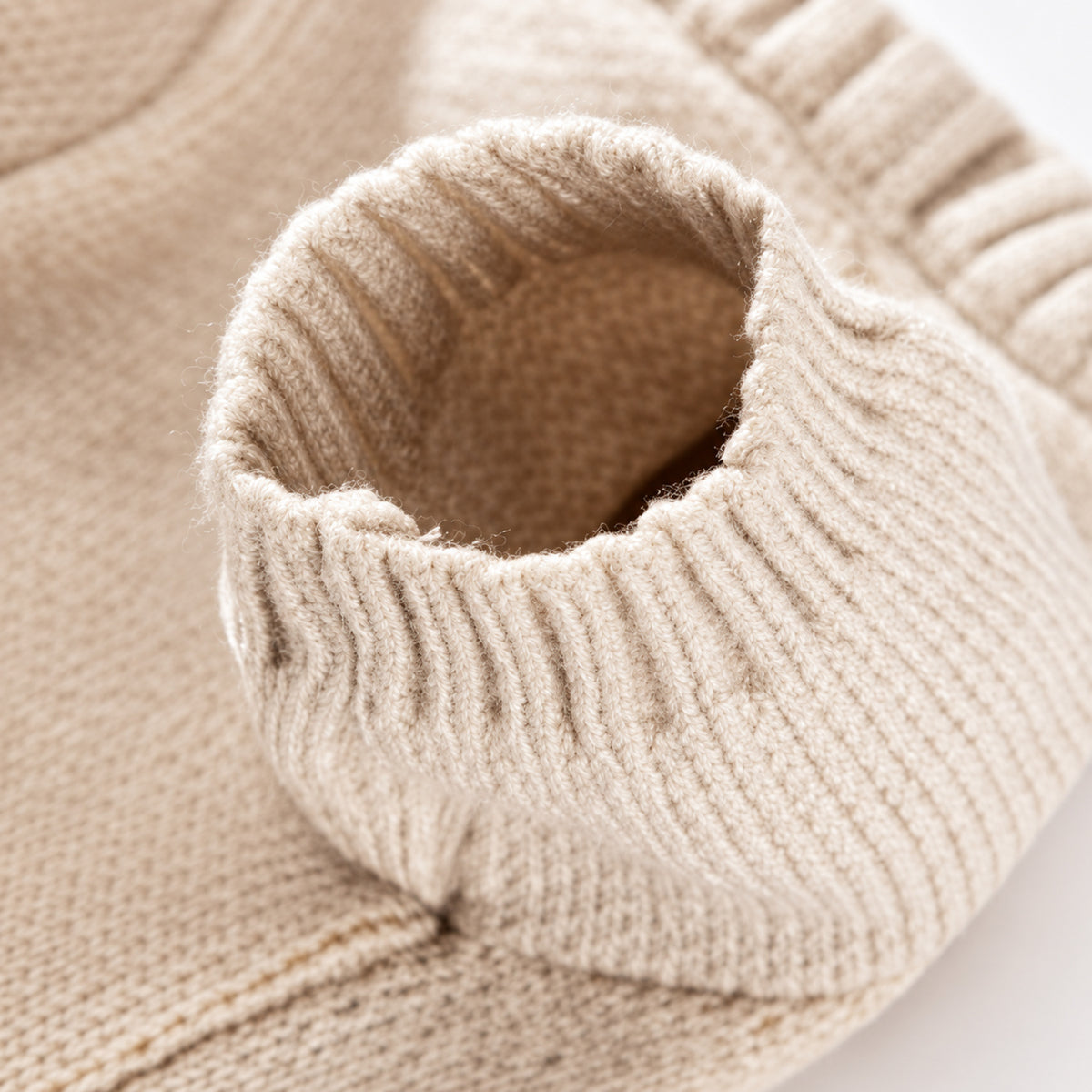 Lion Dog Jumper | Cosy Autumn & Winter Wear