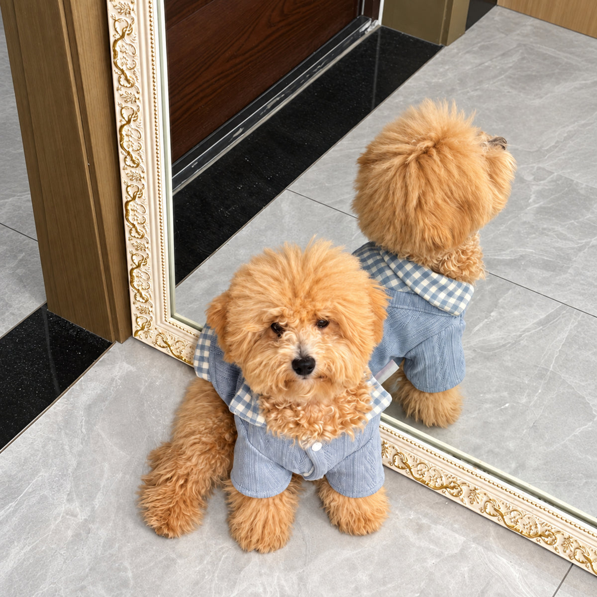 Cosy Check Jumper for Dogs & Cats | Soft Lining | Autumn & Winter