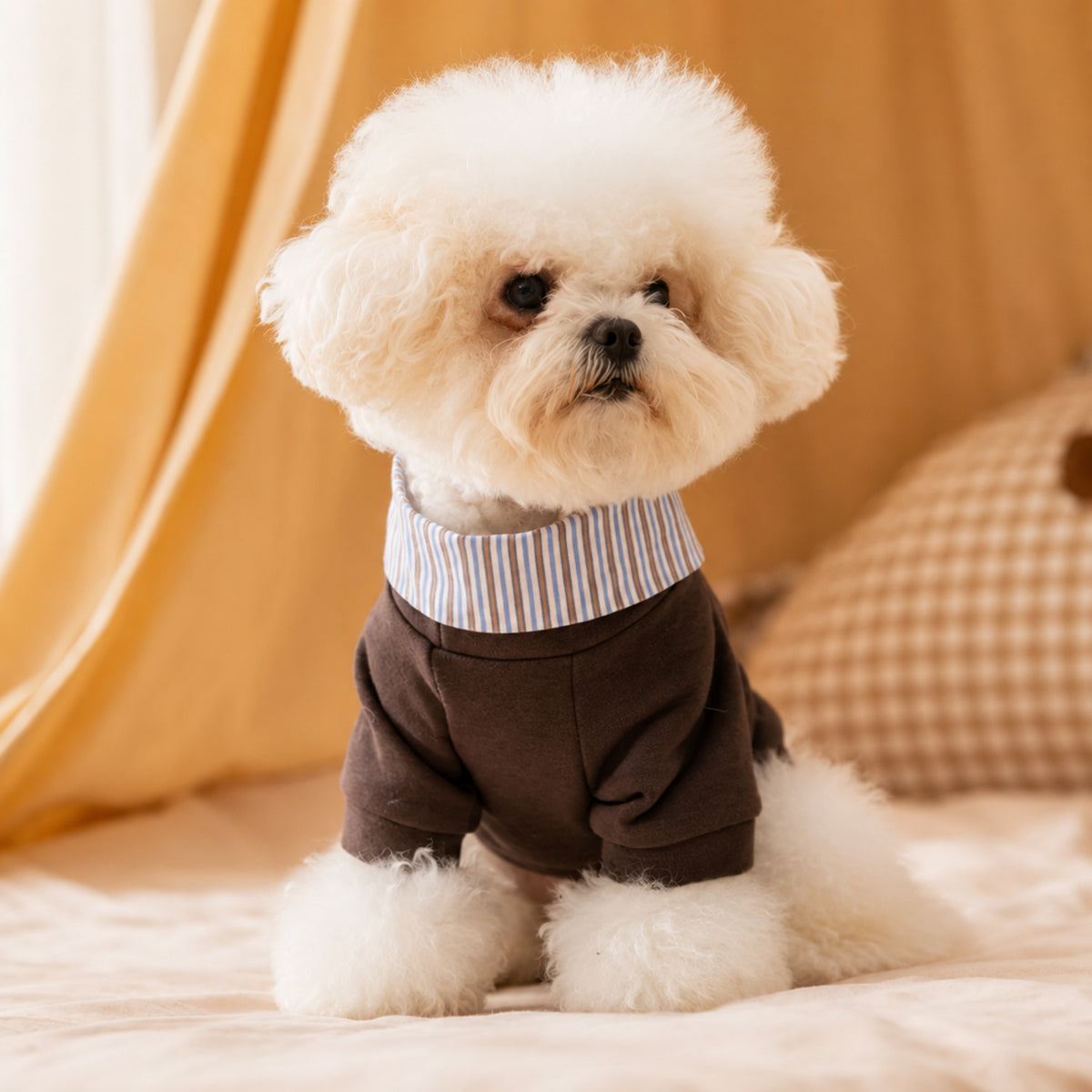 Teddy Bear Pocket Pet Coat | Striped Collar | Cosy Layered-Look Outfit
