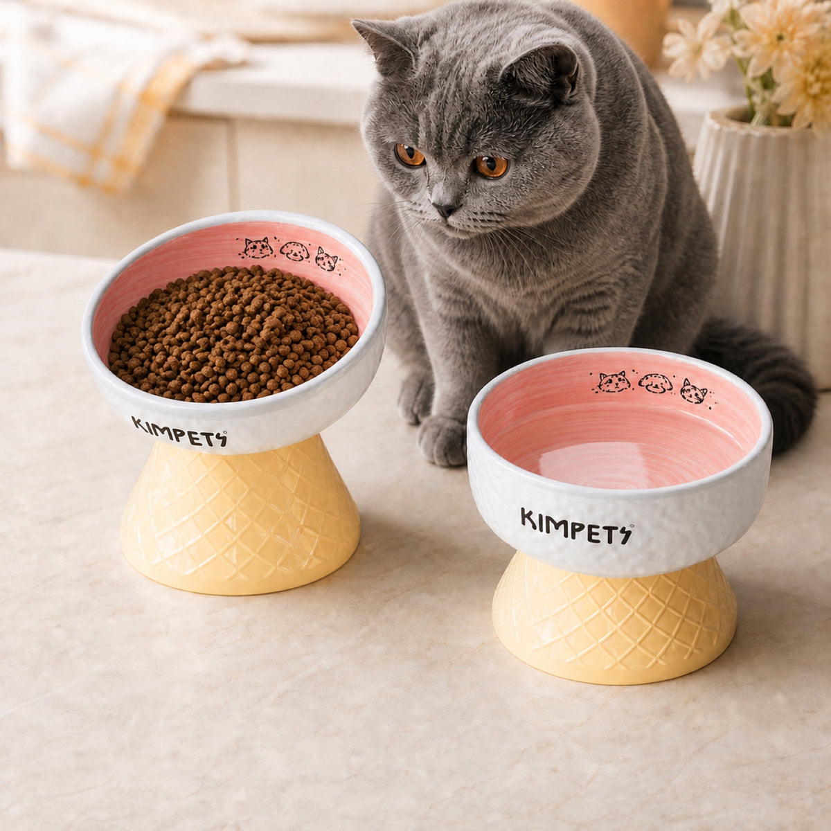 Sweet Cone Elevated Ceramic Pet Bowl Set of 2 | Raised Cat & Dog Feeders | Easy Clean