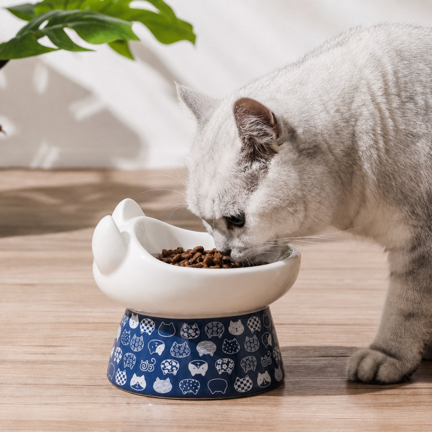 Raised Ceramic Cat Bowl | Japanese-Style 300 ml Feeder | Stable Easy-Clean Design