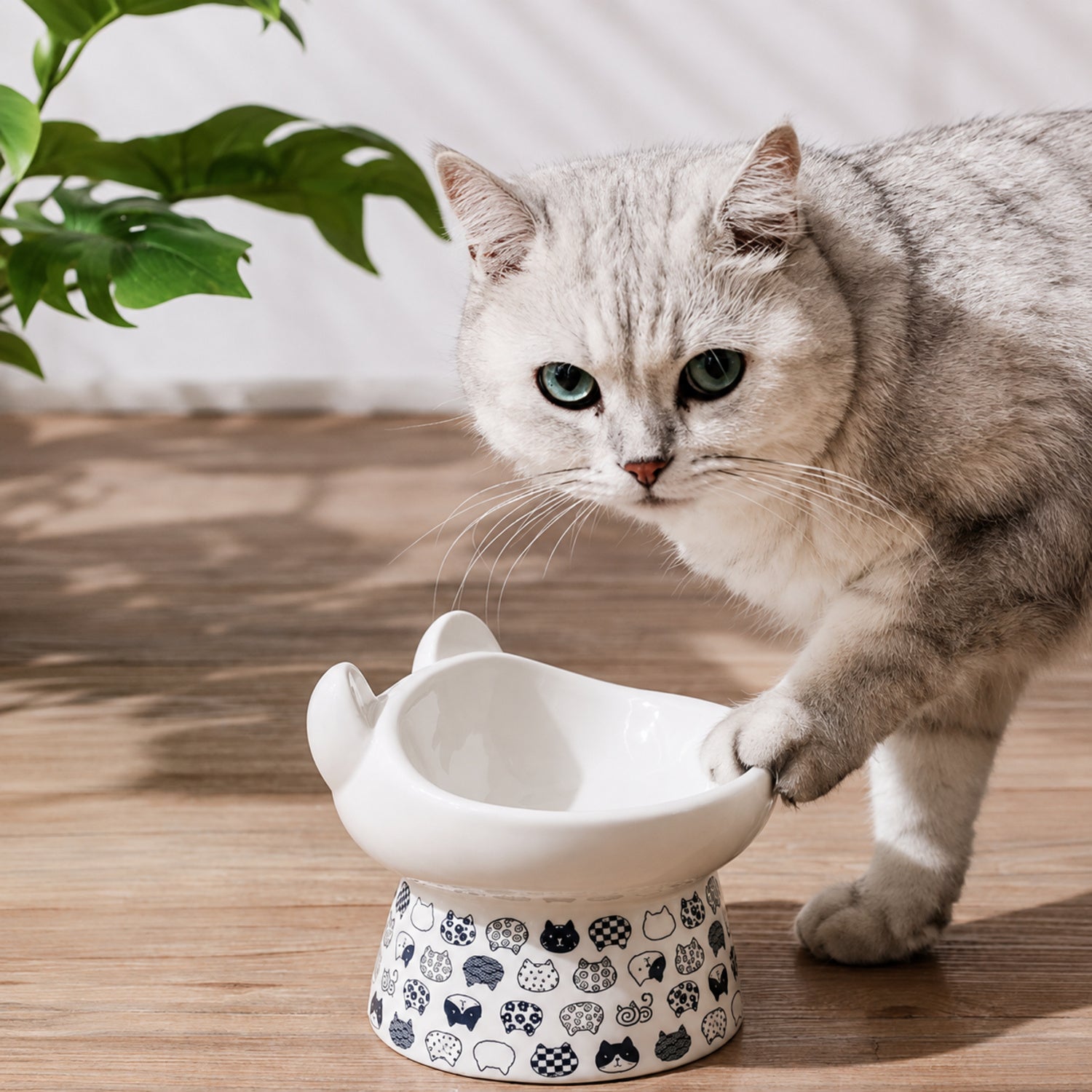 Raised Ceramic Cat Bowl | Japanese-Style 300 ml Feeder | Stable Easy-Clean Design