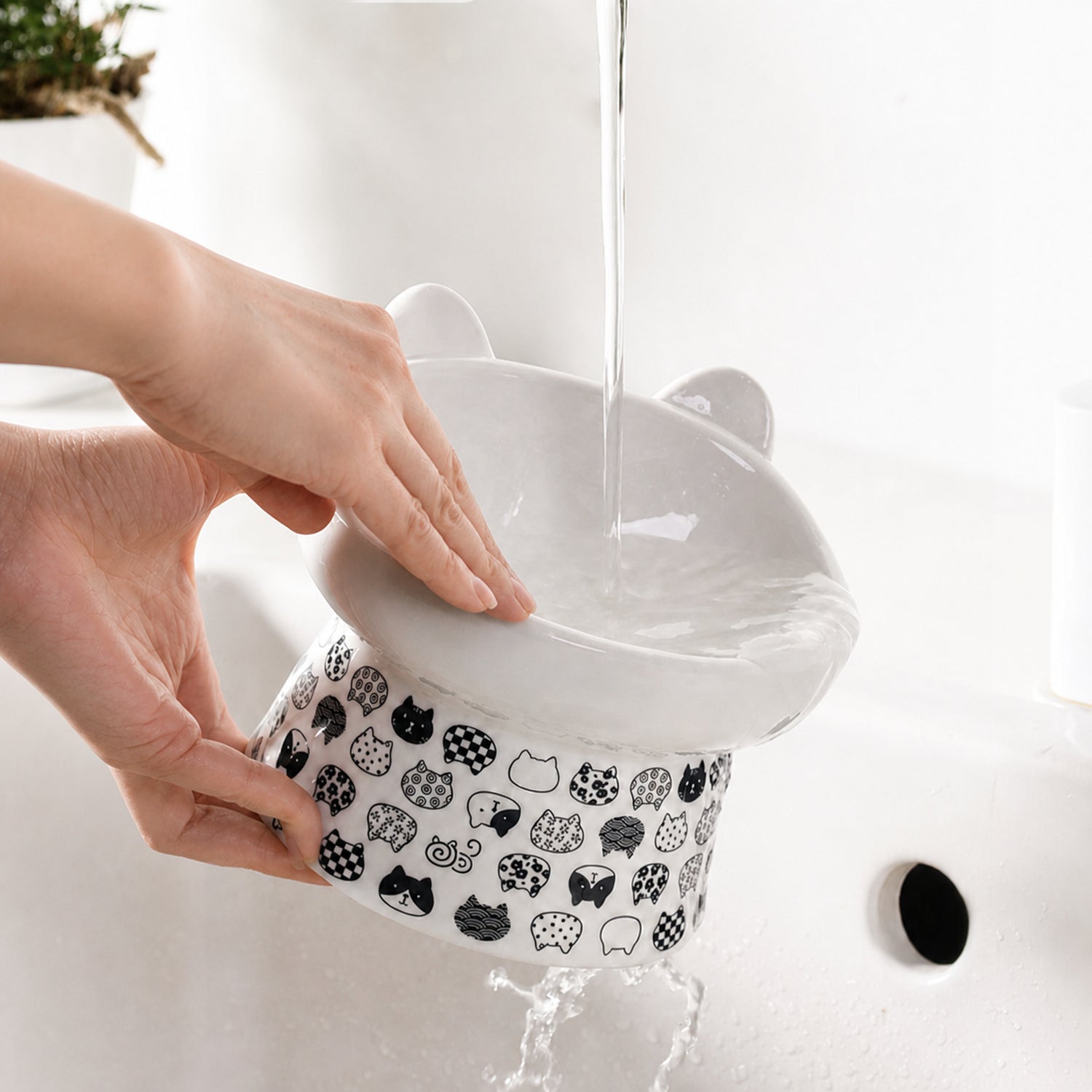 Raised Ceramic Cat Bowl | Japanese-Style 300 ml Feeder | Stable Easy-Clean Design