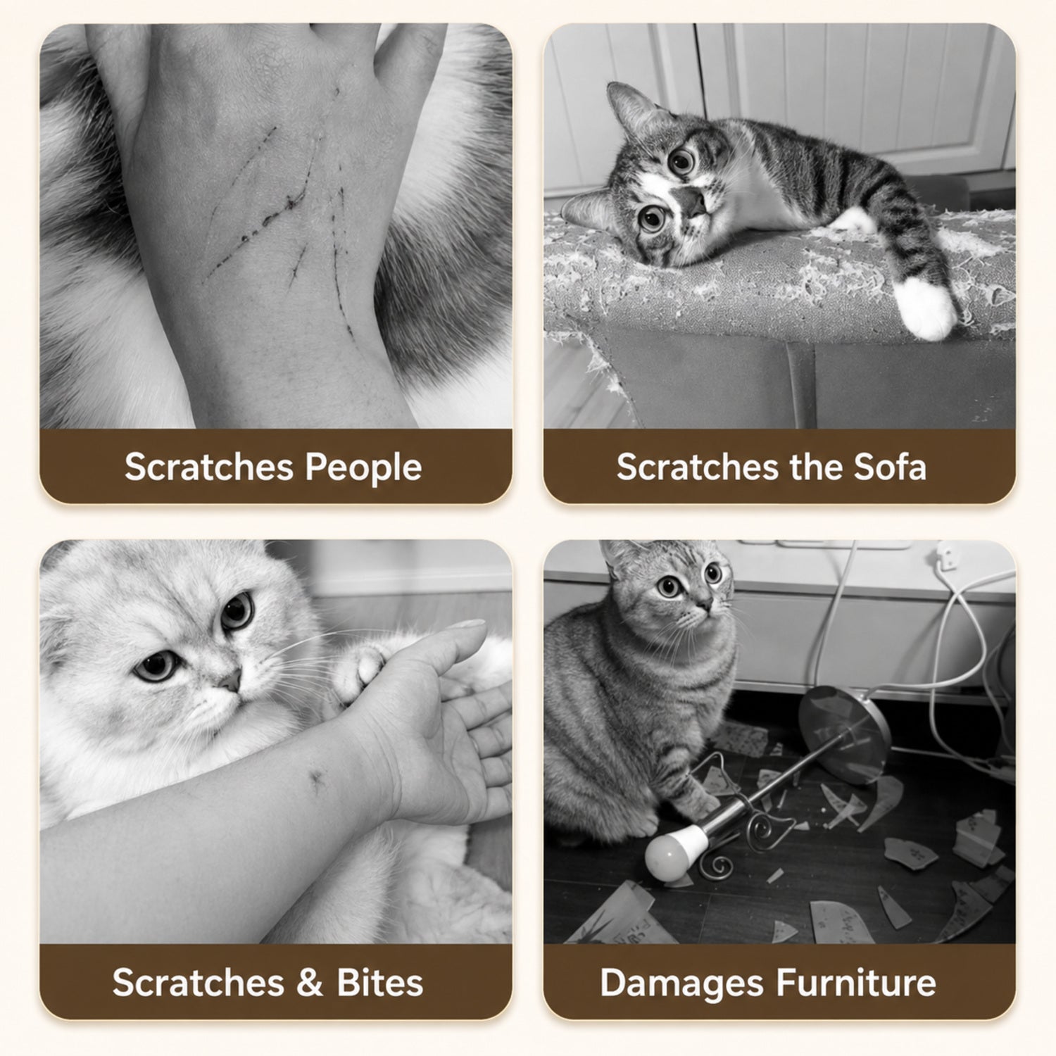 Peel-and-Stick Cat Scratcher | Waterproof Cut-to-Fit Sofa Protector