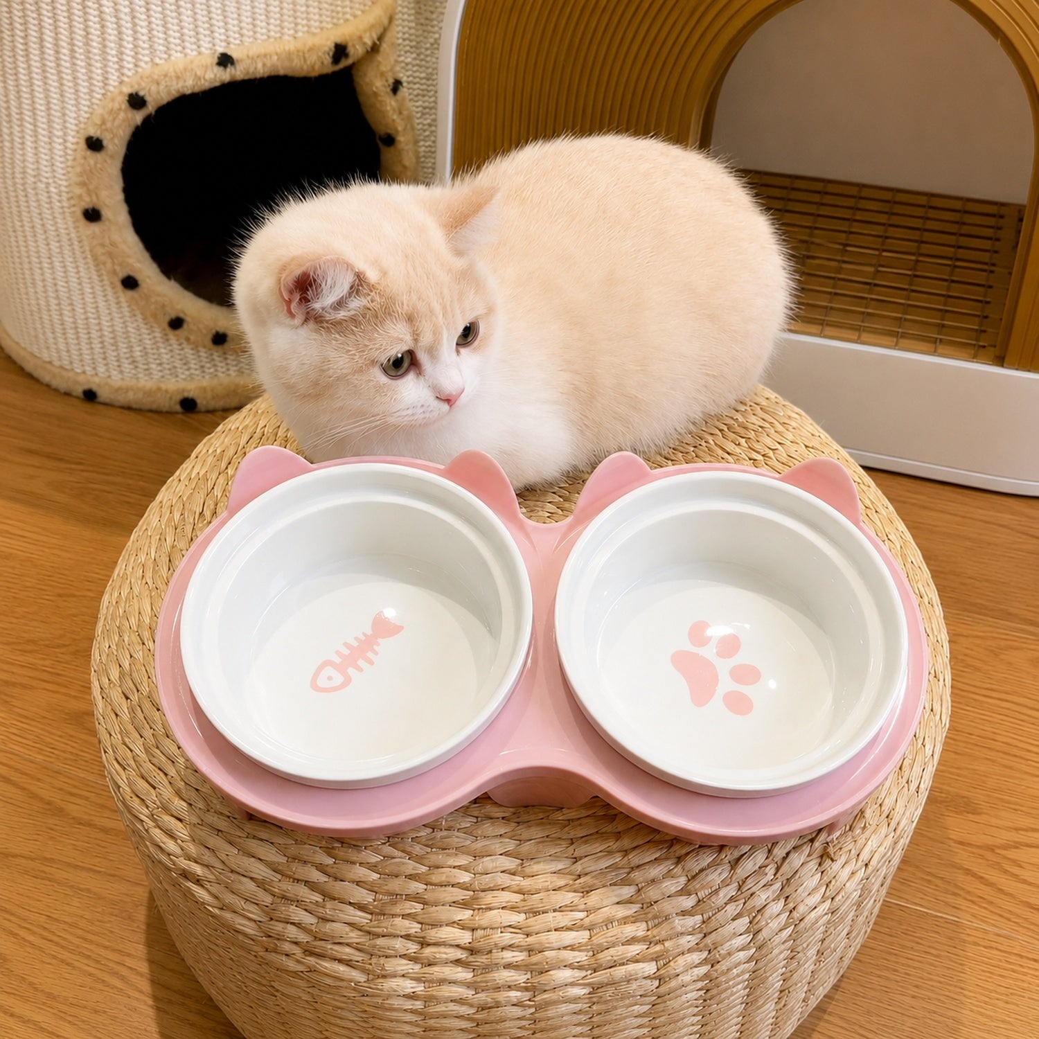 Elevated Ceramic Cat Feeder | 15° Tilted Double Bowls | Easy-Clean Neck-Friendly Stand