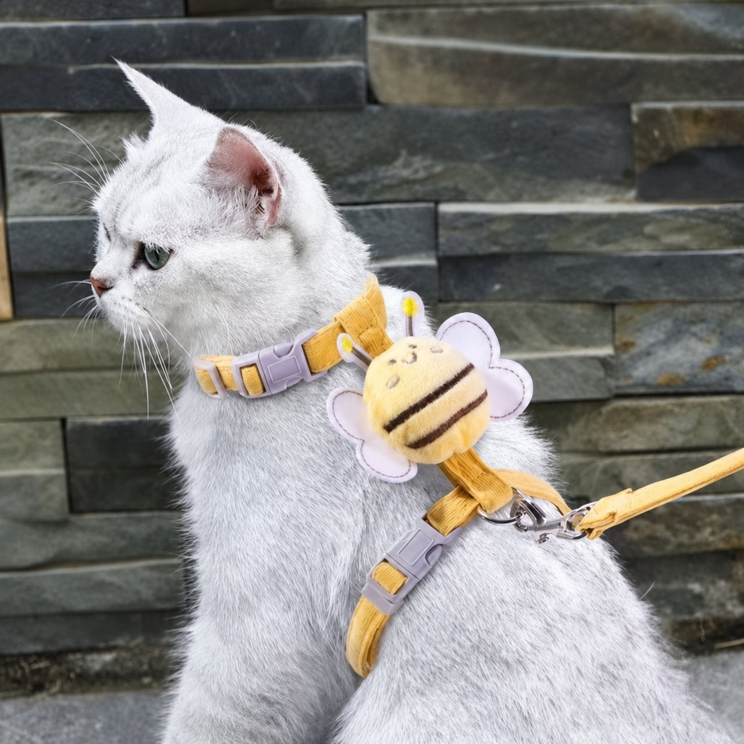Bee Cat Harness & Lead Set | Adjustable Anti-Escape Fit | Lightweight Walking Set
