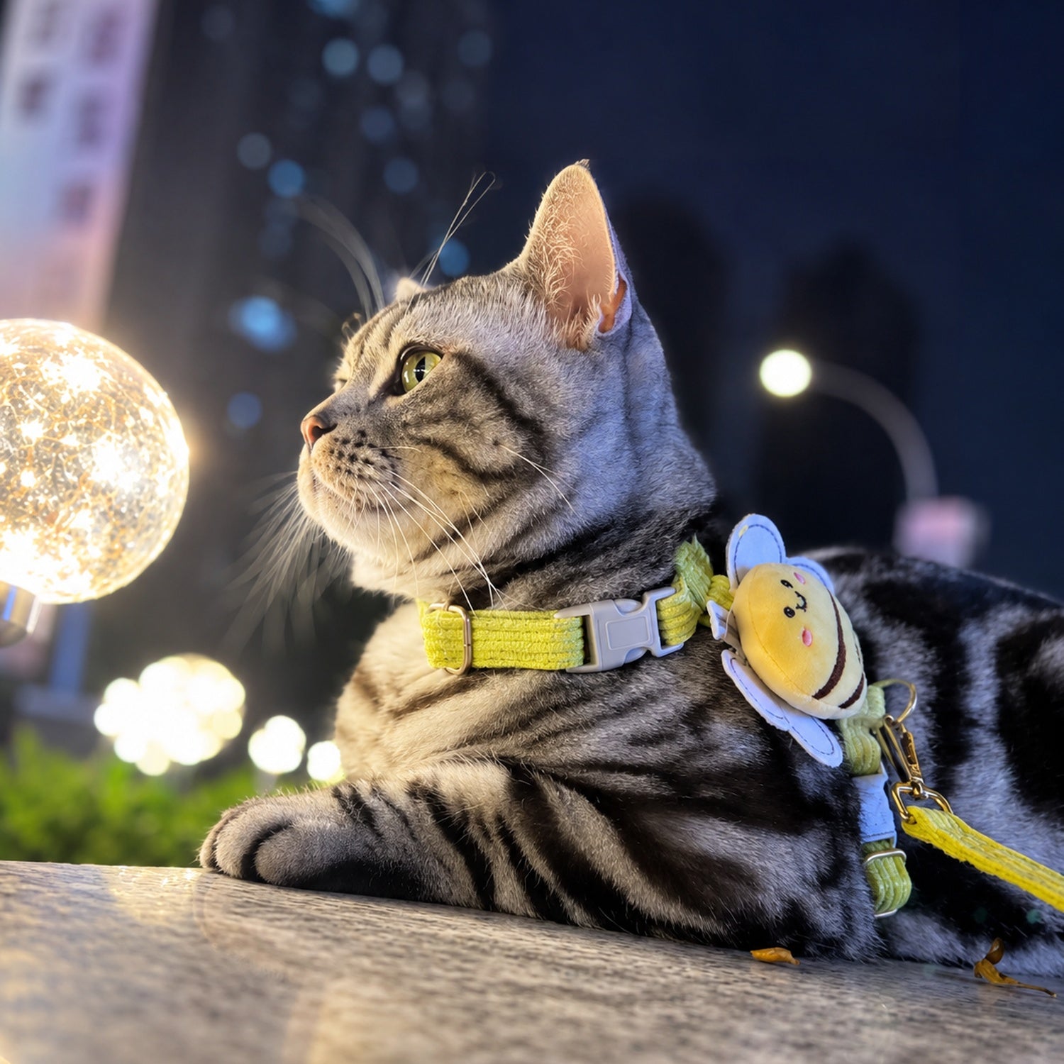 Bee Cat Harness & Lead Set | Adjustable Anti-Escape Fit | Lightweight Walking Set