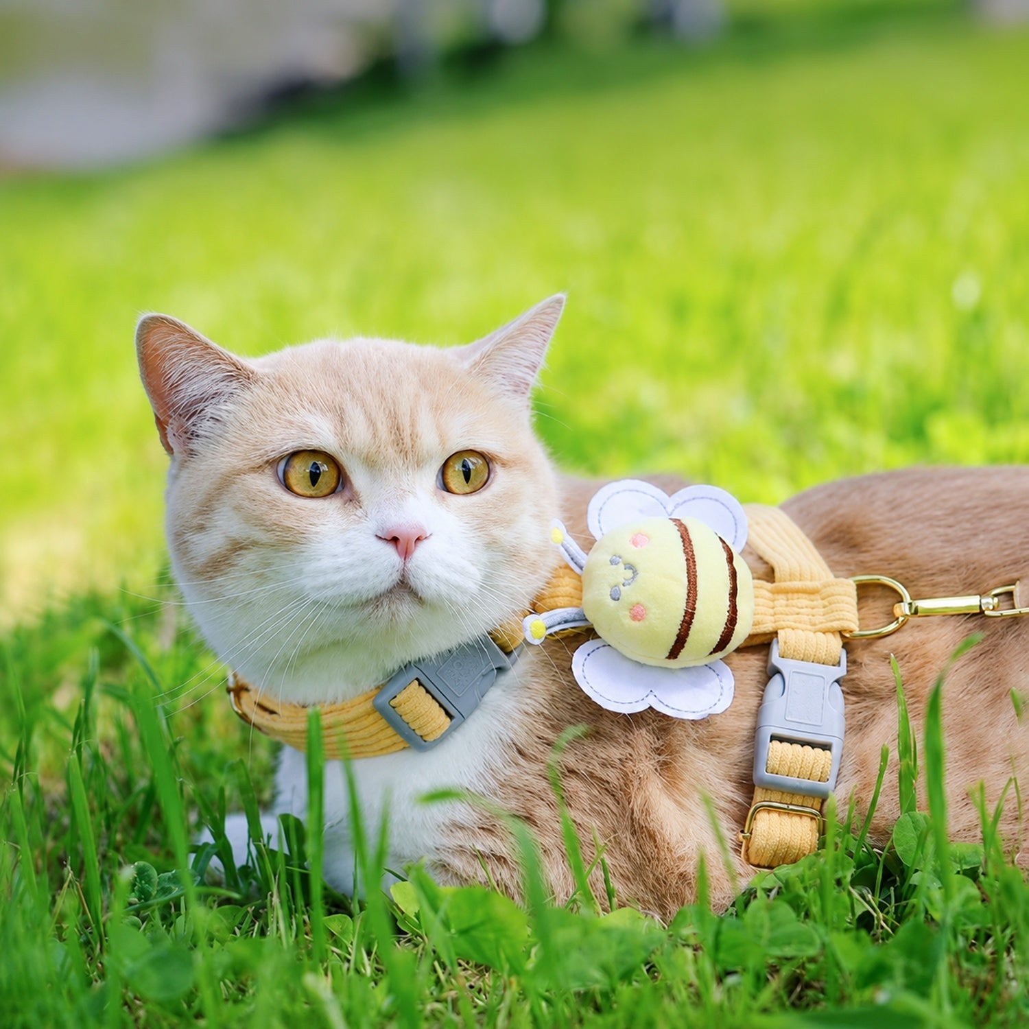 Bee Cat Harness & Lead Set | Adjustable Anti-Escape Fit | Lightweight Walking Set