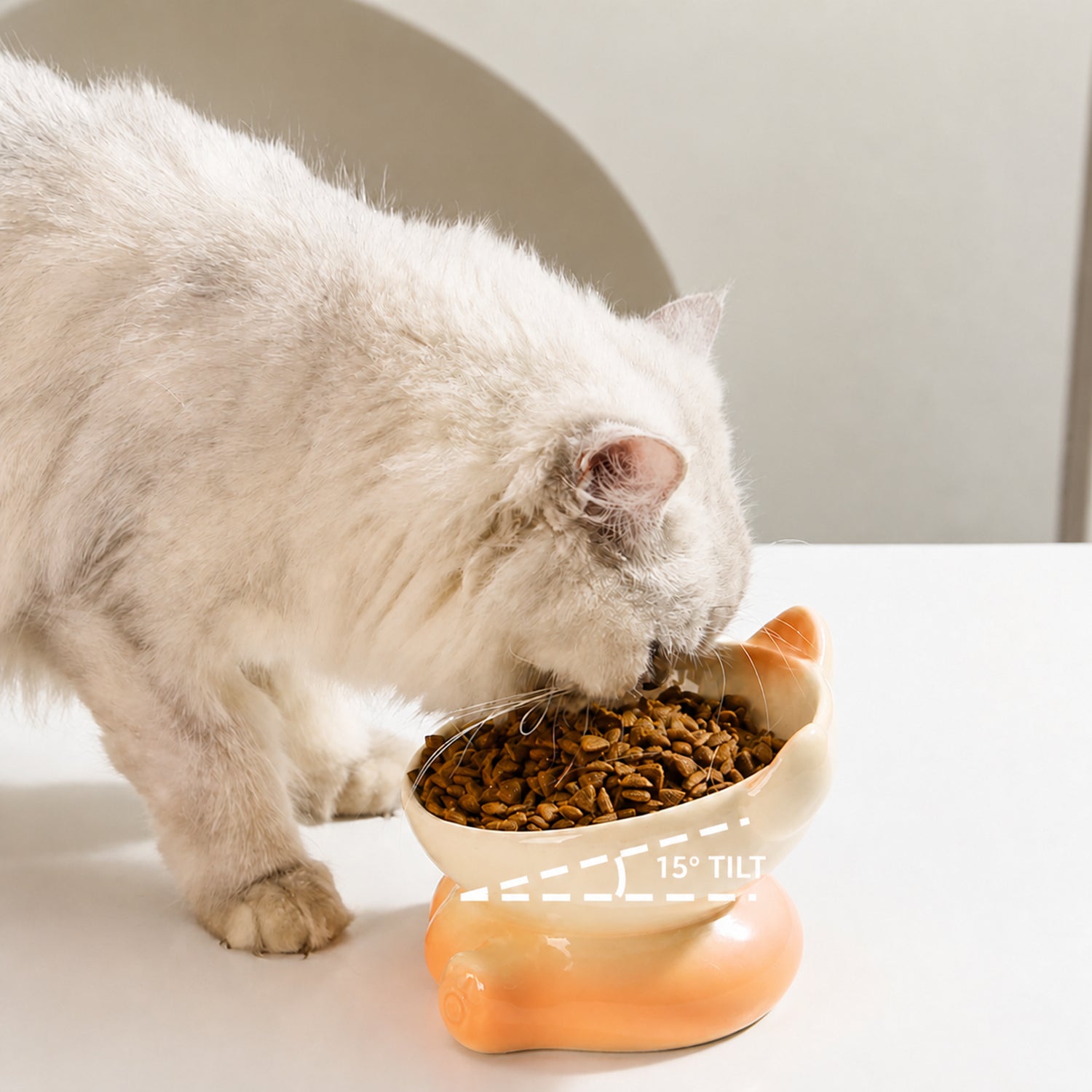 Raised Ceramic Cat Bowl | 15° Tilted Whisker-Friendly Feeder