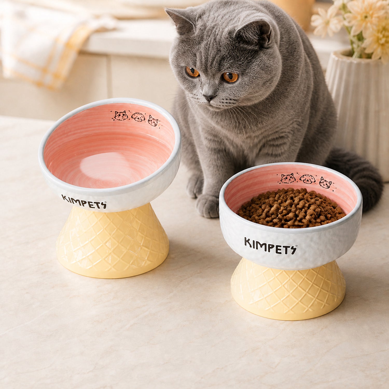 Sweet Cone Elevated Ceramic Pet Bowl Set of 2 | Raised Cat & Dog Feeders | Easy Clean