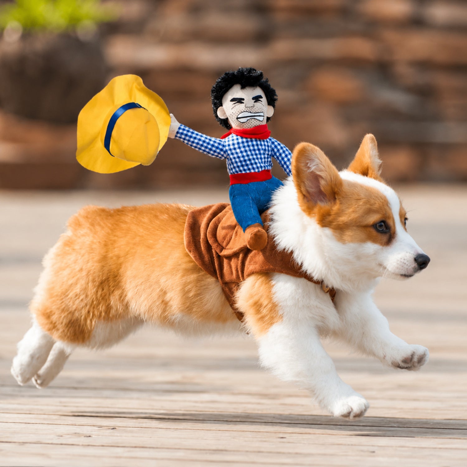 Cowboy Rider Pet Costume | Funny Halloween Fancy Dress Outfit