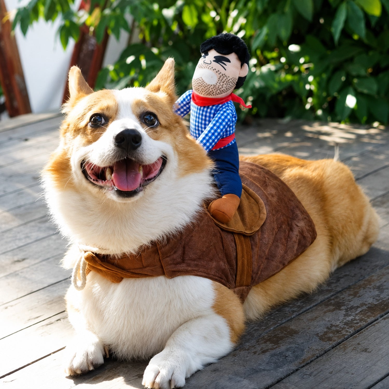 Cowboy Rider Pet Costume | Funny Halloween Fancy Dress Outfit