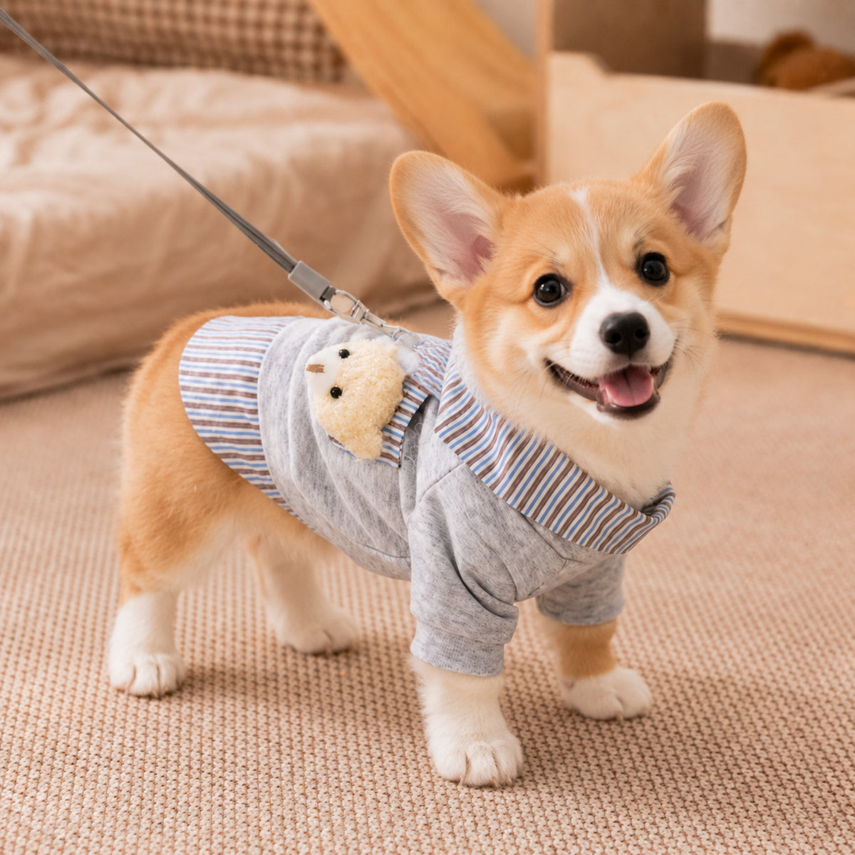 Teddy Bear Pocket Pet Coat | Striped Collar | Cosy Layered-Look Outfit