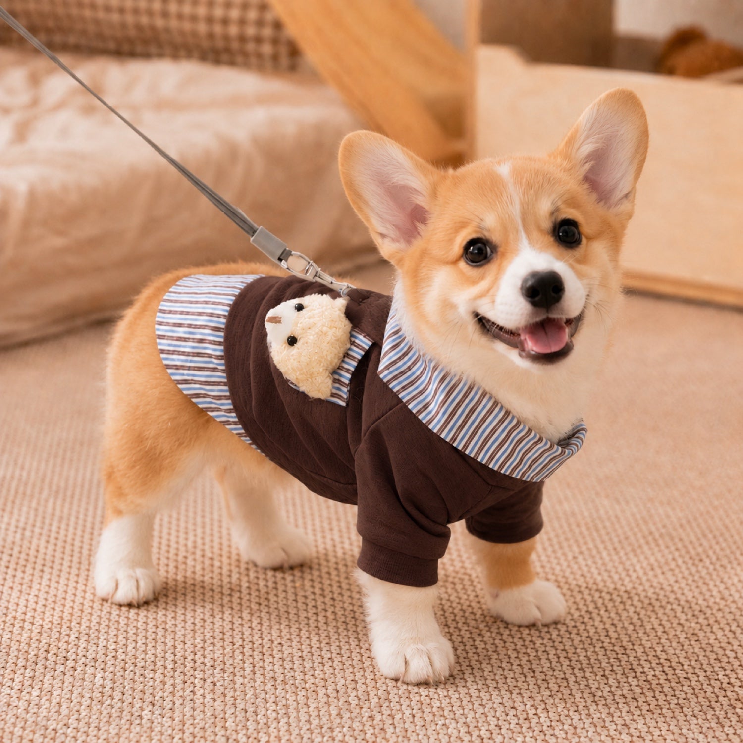 Teddy Bear Pocket Pet Coat | Striped Collar | Cosy Layered-Look Outfit