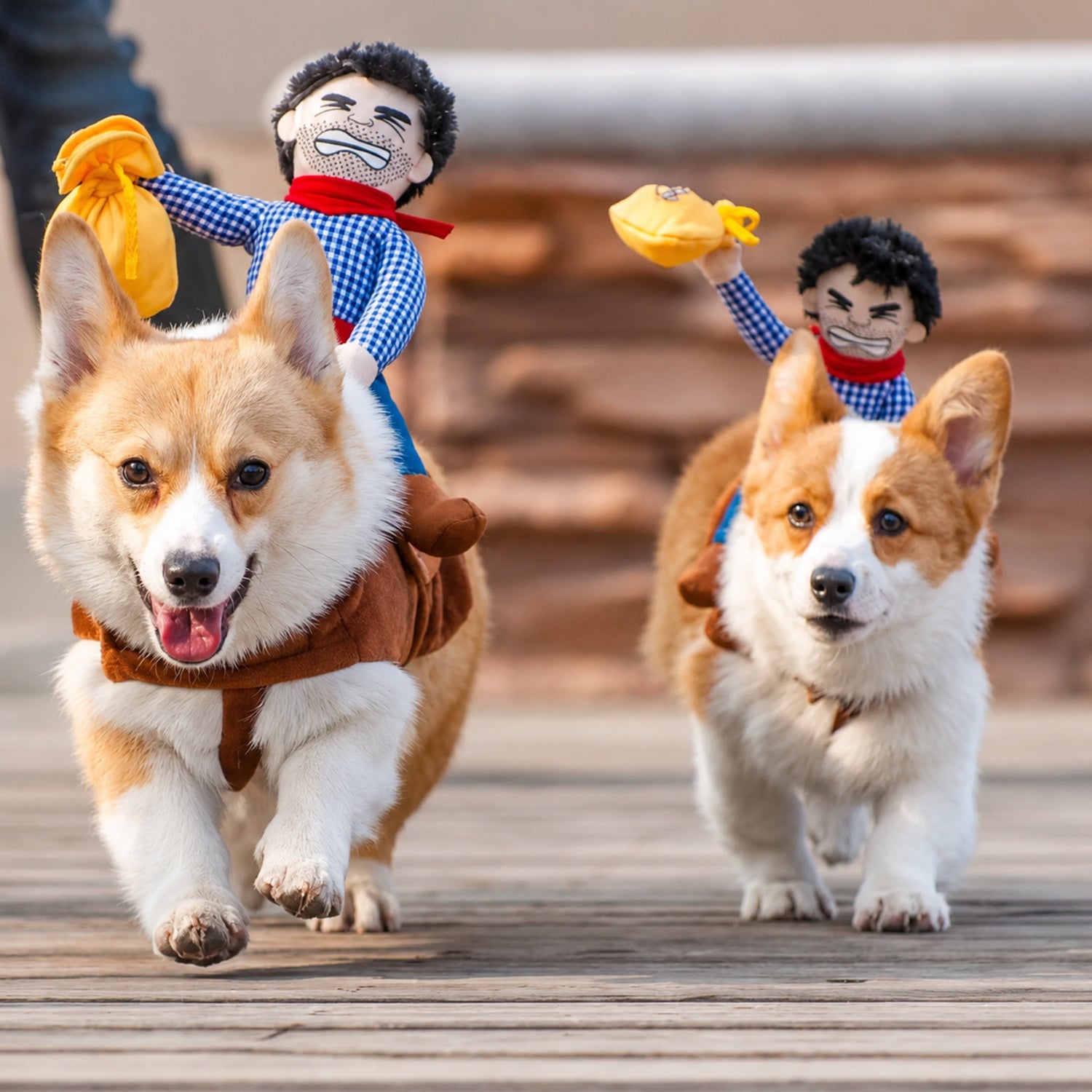 Cowboy Rider Pet Costume | Funny Halloween Fancy Dress Outfit