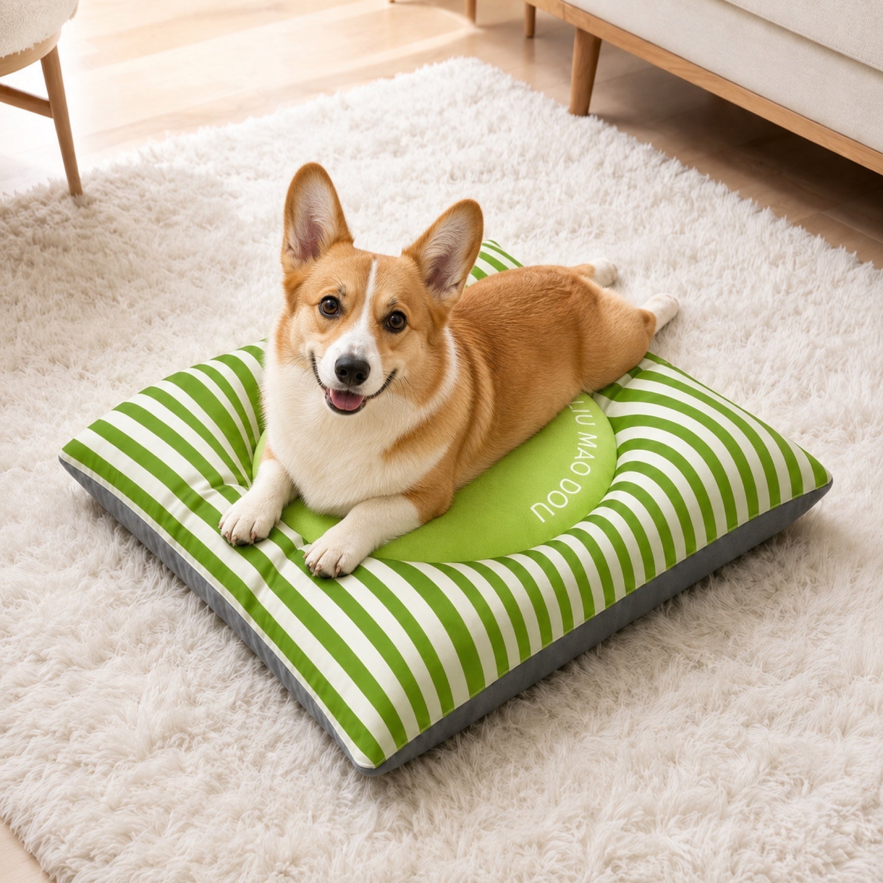 Pembroke Welsh Corgi lying in a sploot pose on a green and white striped pet mat