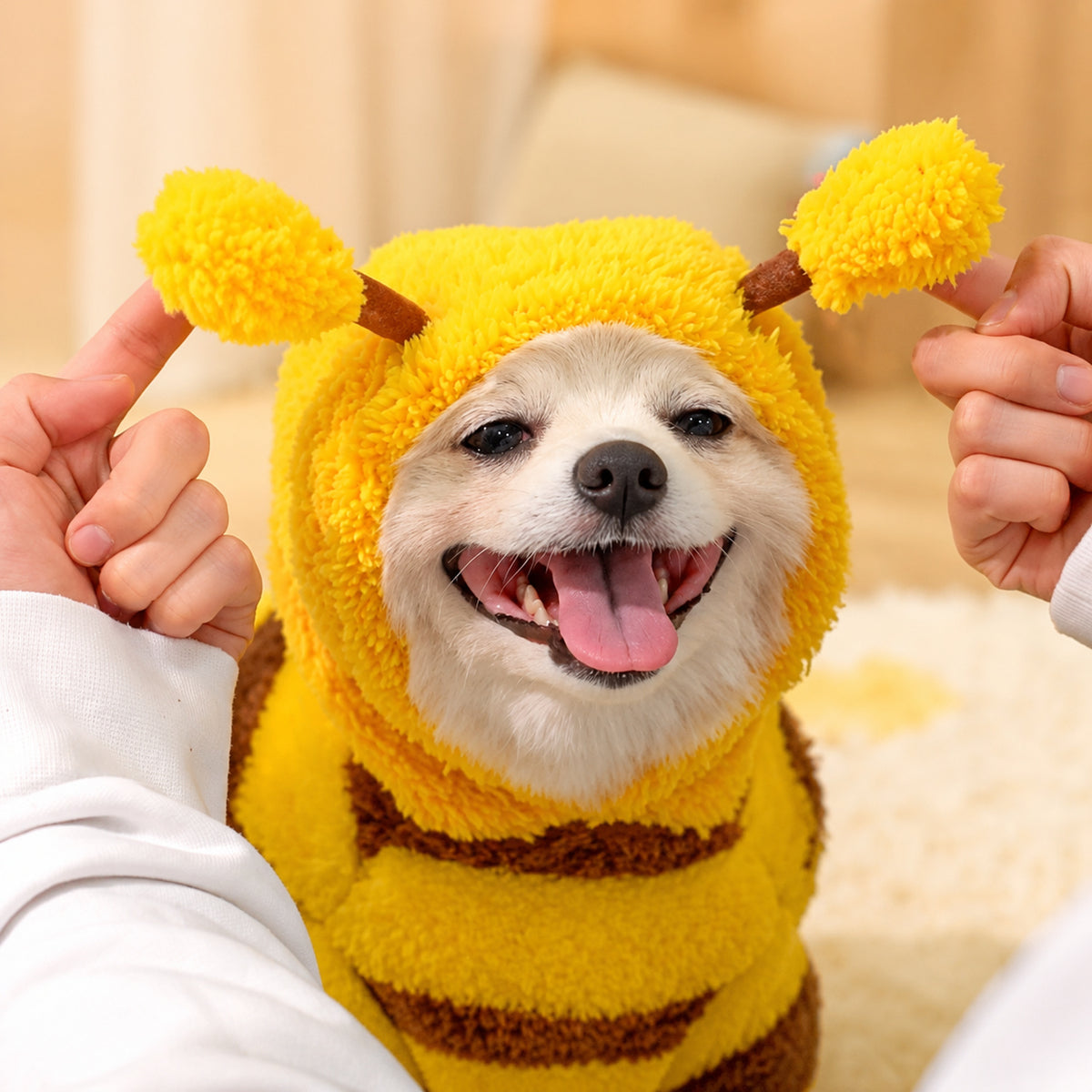 Honey Bee Pet Jumper | Cosy Four-Leg Autumn & Winter Outfit