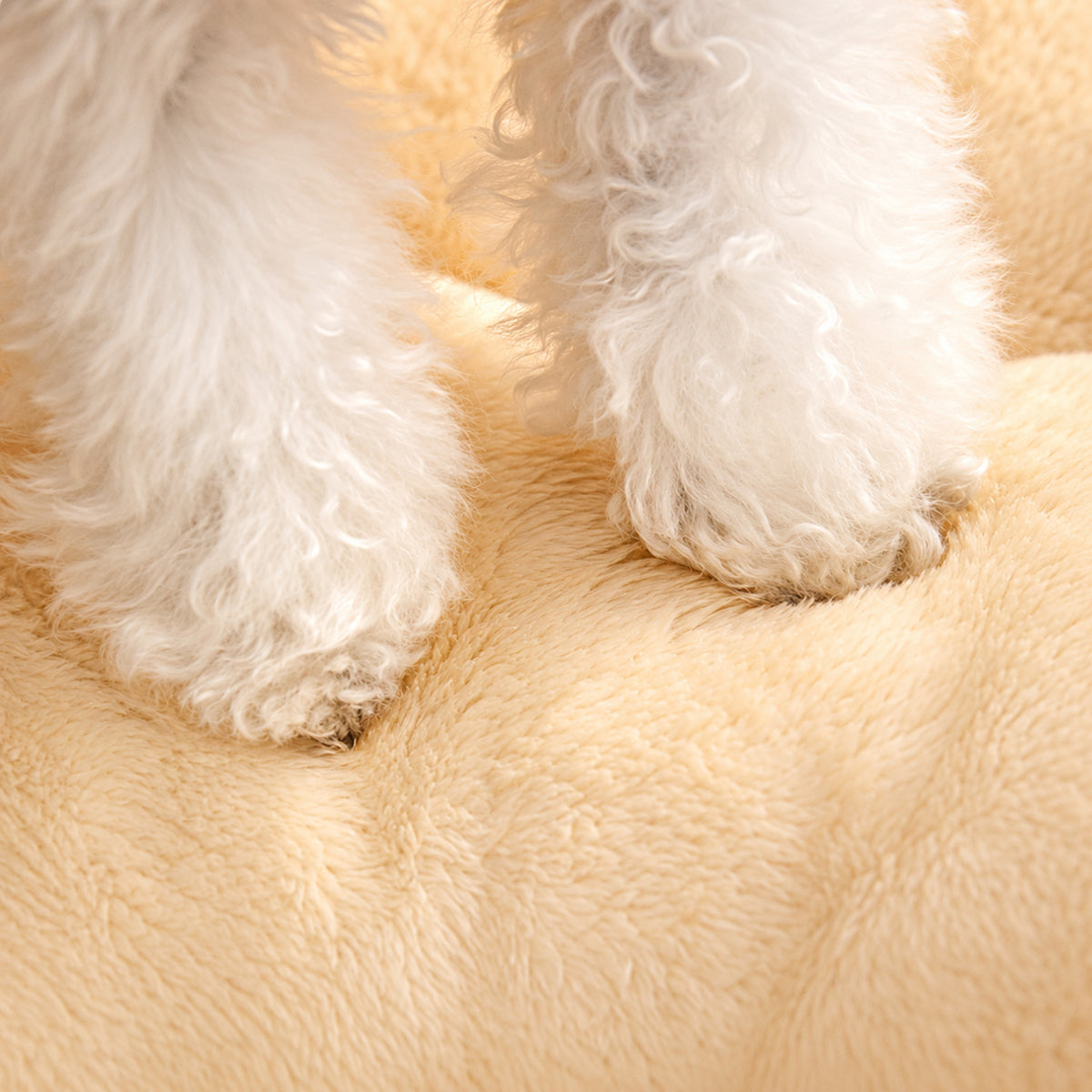 Dog Bed & Cat Bed | Cuddle Cabin Plush Cave | Removable Cushion & Fold-Down Front