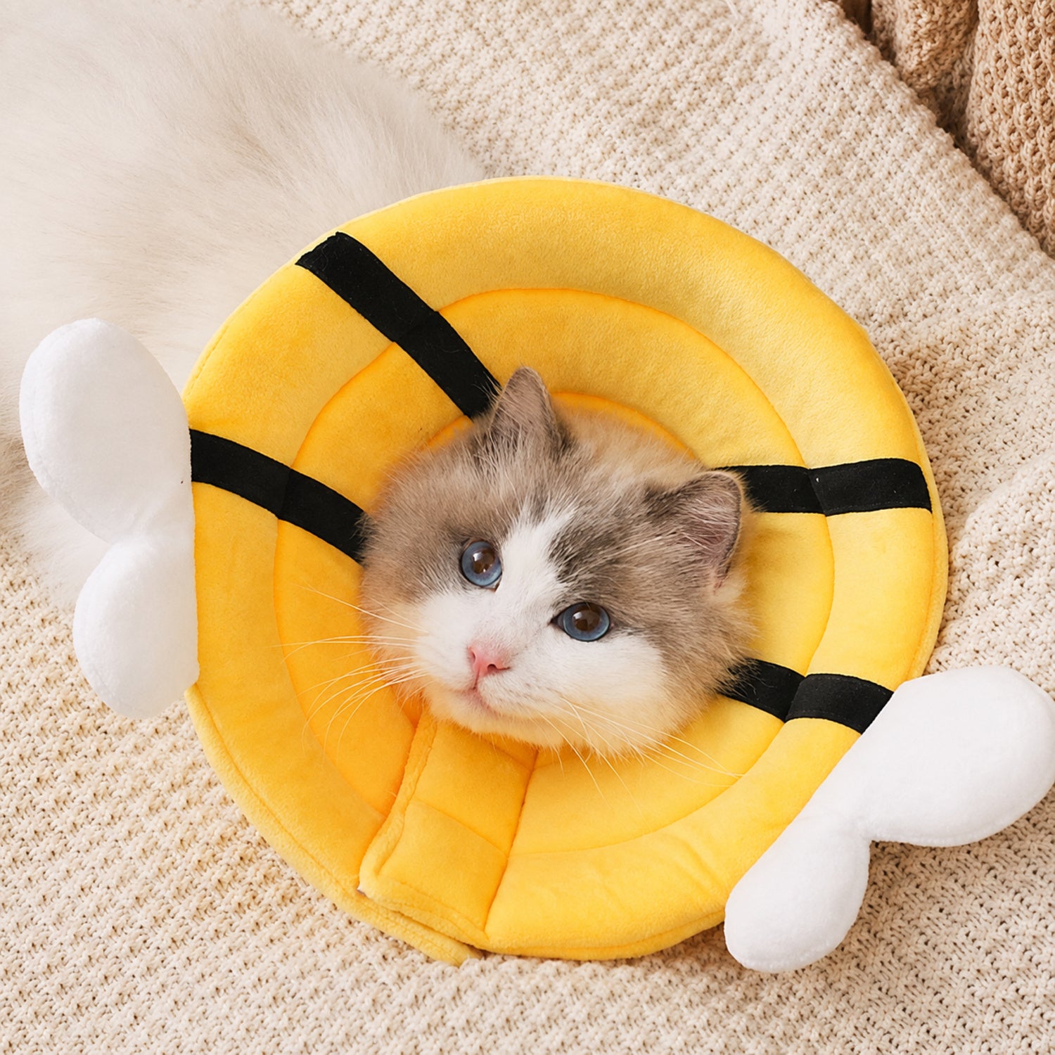 Happy Critter Pet Recovery Collar | Adjustable Padded Cone for Cats & Dogs