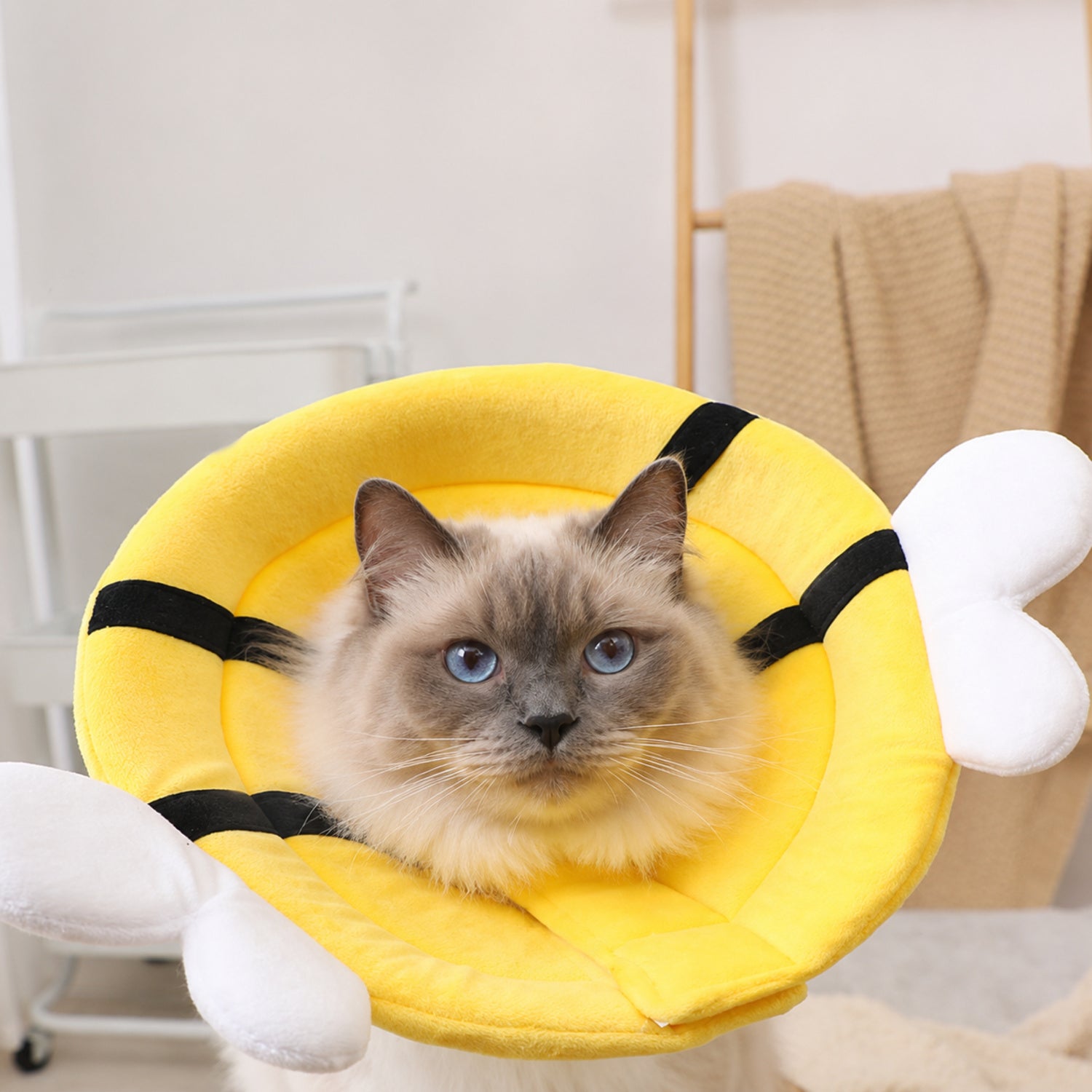 Happy Critter Pet Recovery Collar | Adjustable Padded Cone for Cats & Dogs