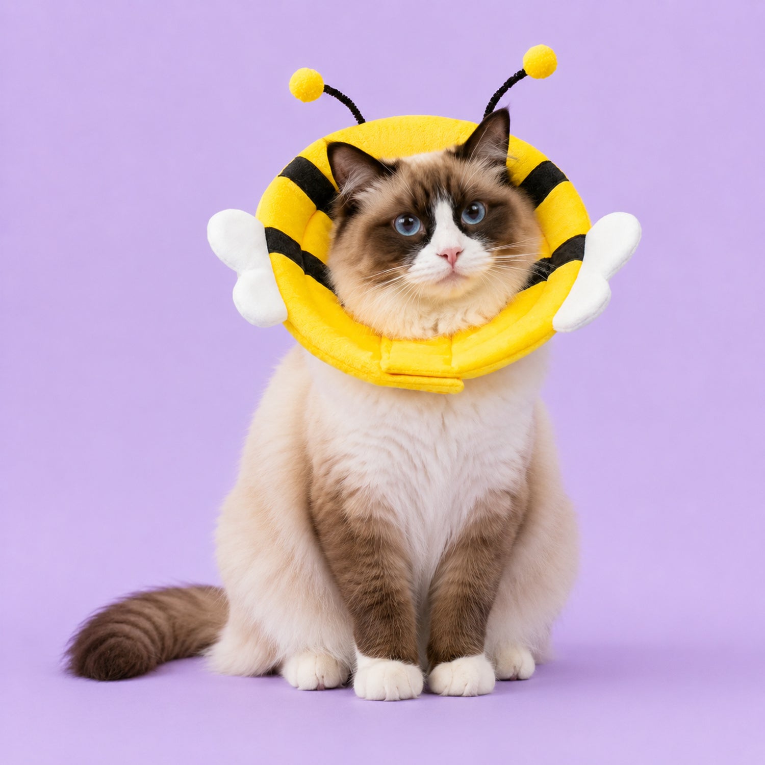 Happy Critter Pet Recovery Collar | Adjustable Padded Cone for Cats & Dogs