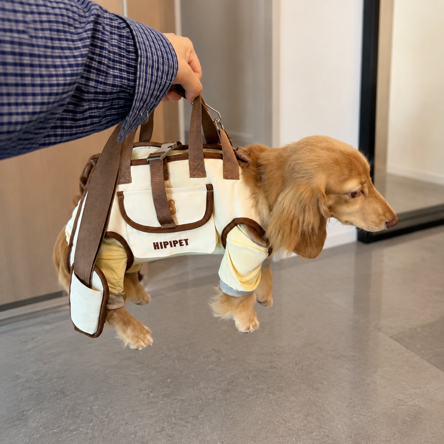 Small Dog Carrier Harness | Hand, Shoulder & Walking Modes | Waterproof Oxford