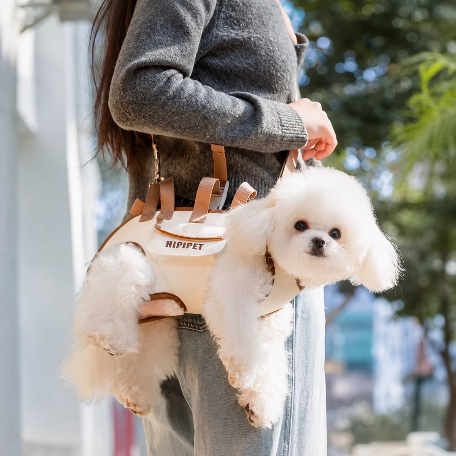 Small Dog Carrier Harness | Hand, Shoulder & Walking Modes | Waterproof Oxford