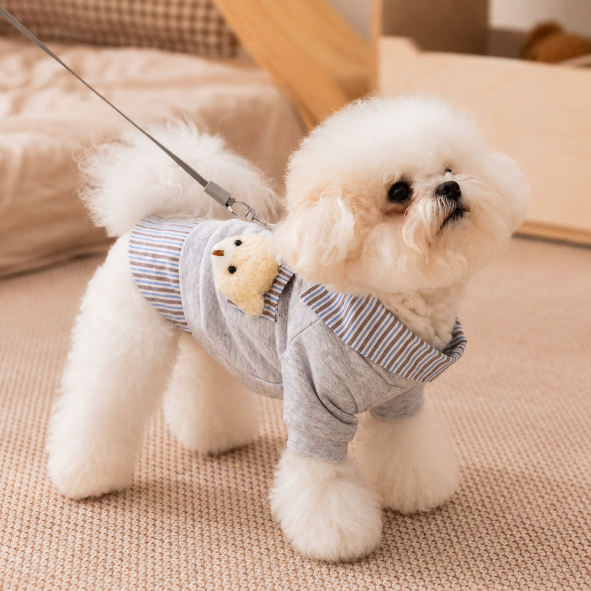 Teddy Bear Pocket Pet Coat | Striped Collar | Cosy Layered-Look Outfit