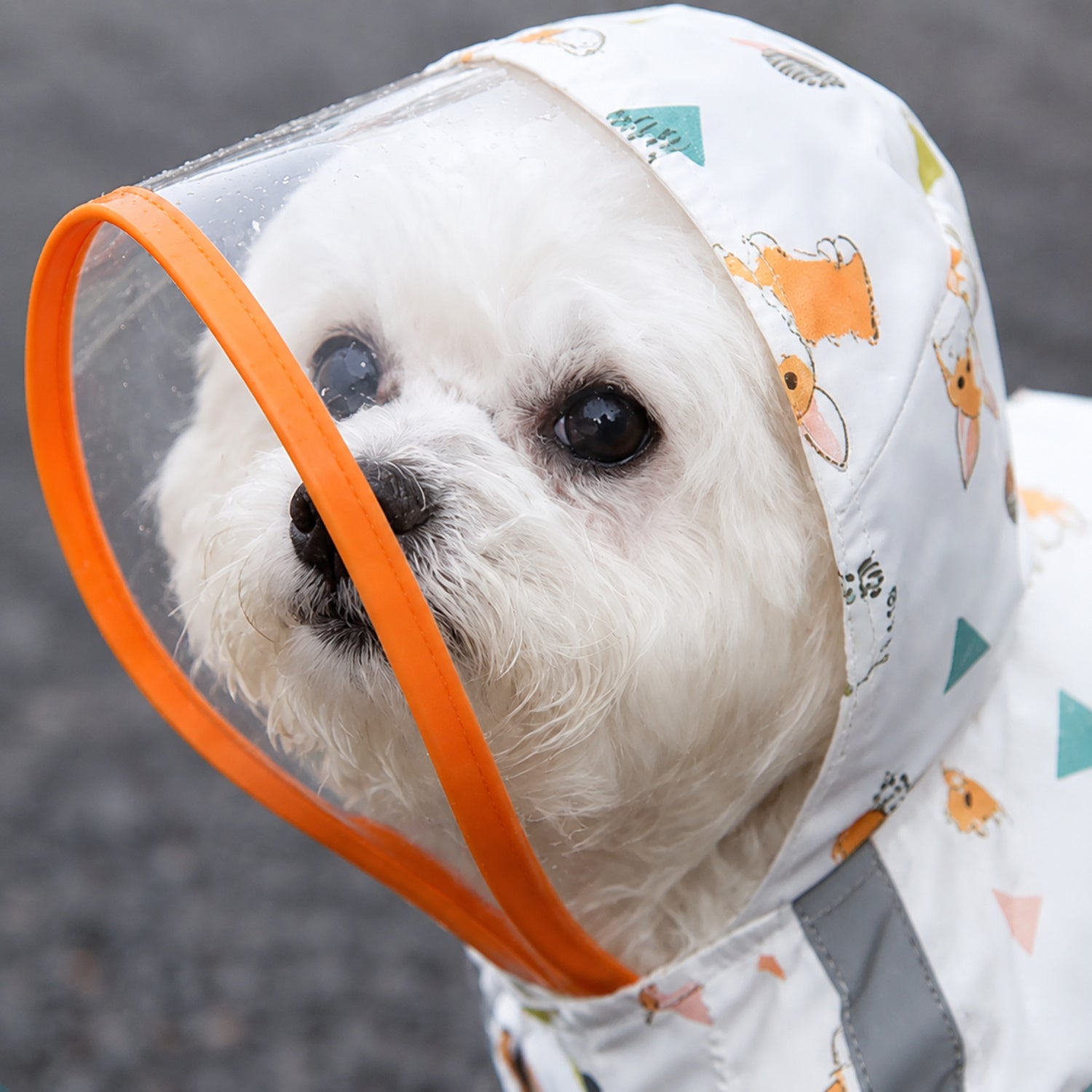 Full-Body Dog Raincoat | Waterproof | Reflective Detailing